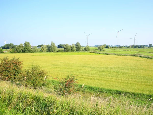 Bild 1: Landkreis Friesland